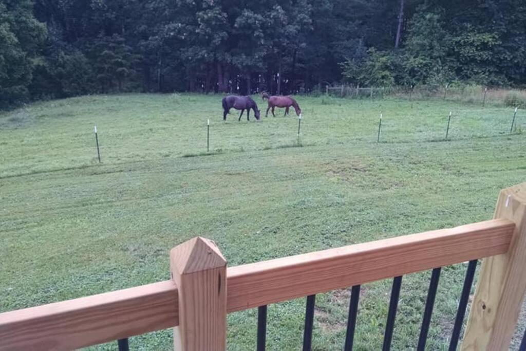 The Ranch In Mt Airy Villa Mount Airy Eksteriør bilde